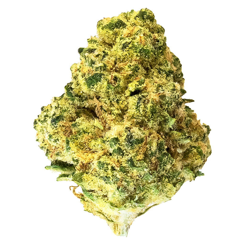 Premium cannabis flower bud with bright green colour and orange pistils