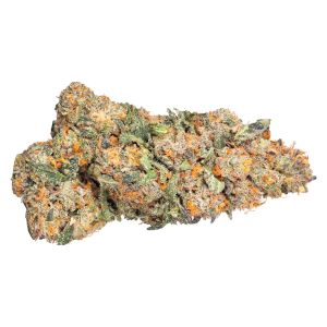 Close-up of Eastcann Gas Monkey dried cannabis flower featuring dense, frosty buds with bright green tones and vibrant orange pistils.