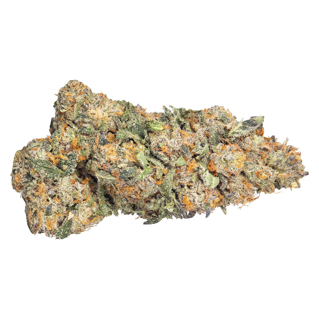 Close-up of Eastcann Gas Monkey dried cannabis flower featuring dense, frosty buds with bright green tones and vibrant orange pistils.