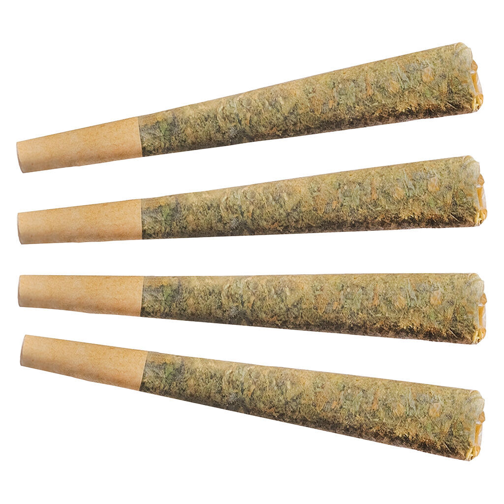 Fuego Night Rider Indica Pre-Roll