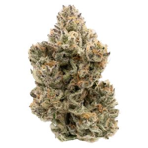 close-up of dense cannabis bud with frosty trichomes orange pistils high THC indica flower