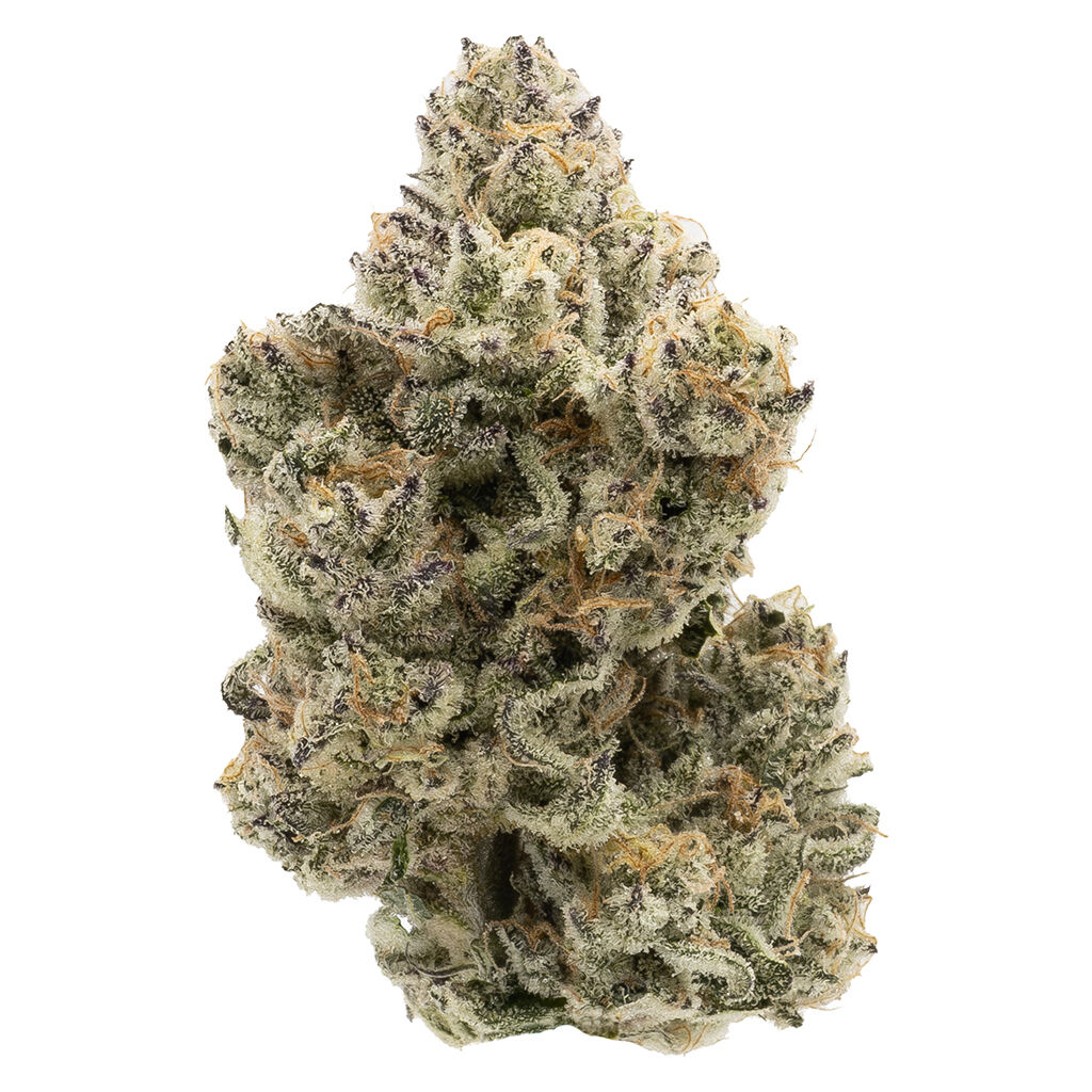 close-up of dense cannabis bud with frosty trichomes orange pistils high THC indica flower