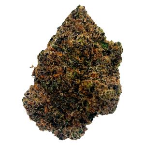 Close-up of Potluck Beaver Tail dried cannabis flower showing dense, dark green and purple buds with orange pistils and rich trichome coverage.