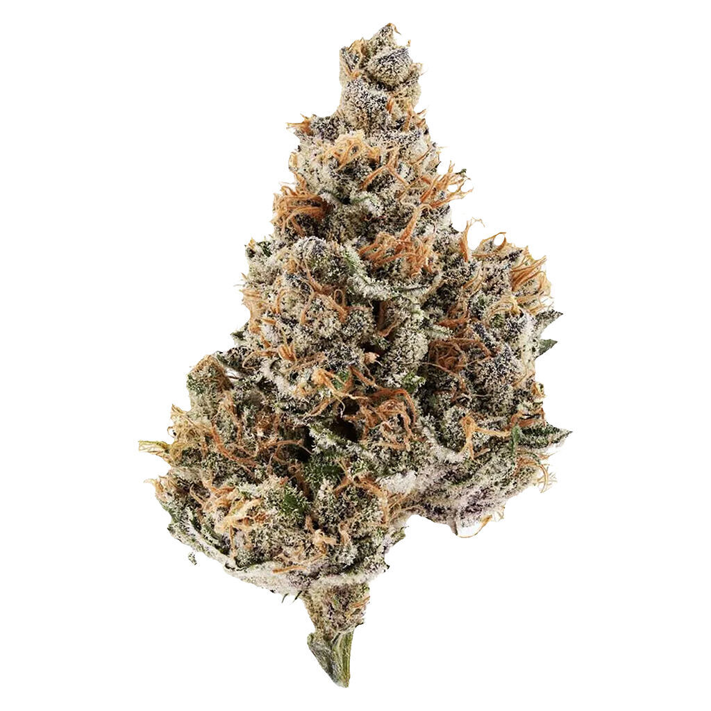 Raspberry Runtz cannabis flower close-up showing dense frosty buds with orange pistils and purple hues