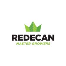 Redecan Master Growers logo with green crown leaf icon above bold black text