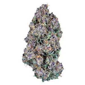 purple green cannabis bud with frosty trichomes and orange pistils high THC indica craft flower