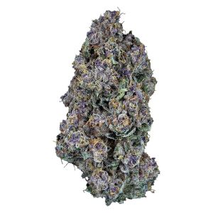 Woody Nelson Triangle Queen cannabis bud purple green high THC indica flower dense frosty trichomes