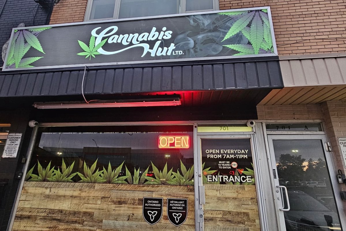 Cannabis Hut North York storefront at 701 Lawrence Ave W with the open sign lit